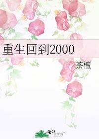 重生回到2000年的小说