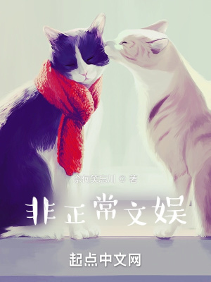 正常一点的文娱小说