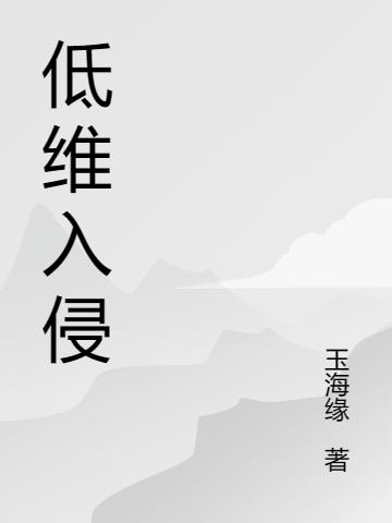 低维入侵