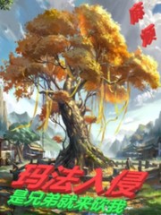 法师传奇3:玛法入侵 小说