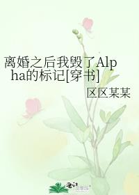 离婚之后我毁了Alpha的标记[穿书]