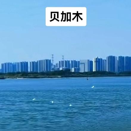 都市珠江水多情