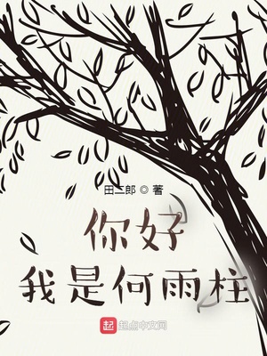 你好我是何雨柱全本txt