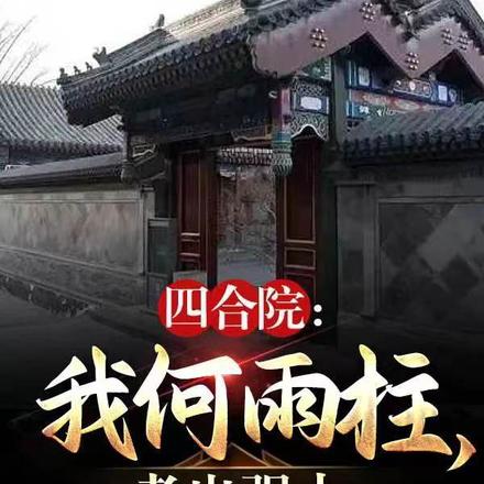 四合院：我何雨柱，孝出强大