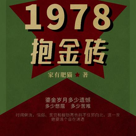 重回1978抱金砖