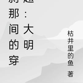 刹那间的穿越：大明