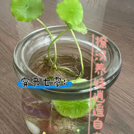 穿书七零：撩汉养娃逍遥自在