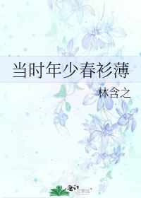 当时年少春衫薄怎么读