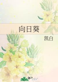 向日葵的花盘有什么用