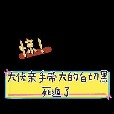 惊！大佬亲手带大的白切黑死遁了