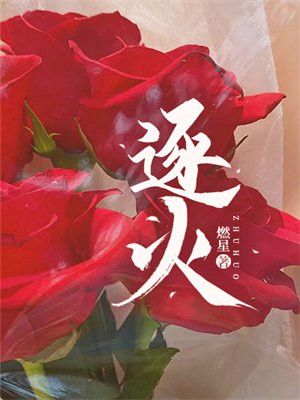 逐火