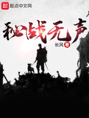 秘战无声小说 无弹窗